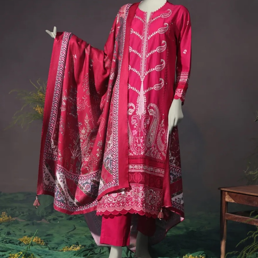 Pakistani Indian dress